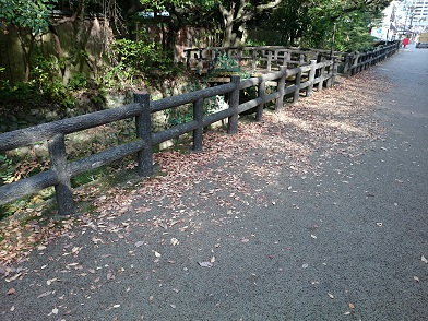 before.jpg