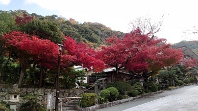 伊奈波2.jpg