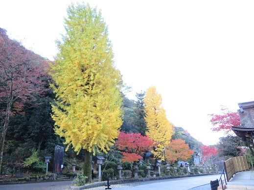 伊奈波3.jpg