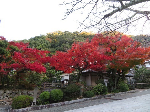 伊奈波4.jpg